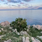 Guest house Quiete E Mare San Vito Lo Capo