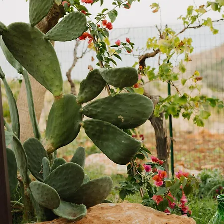 Quiete E Mare Pensión San Vito Lo Capo