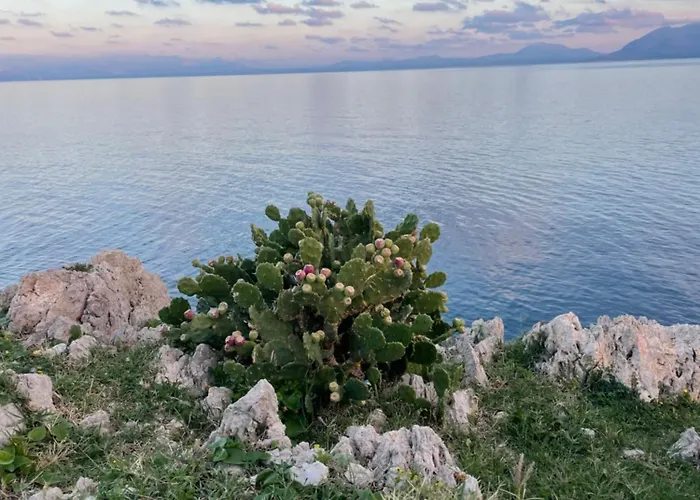 בית הארחה Quiete E Mare סן ויטו לו קאפו