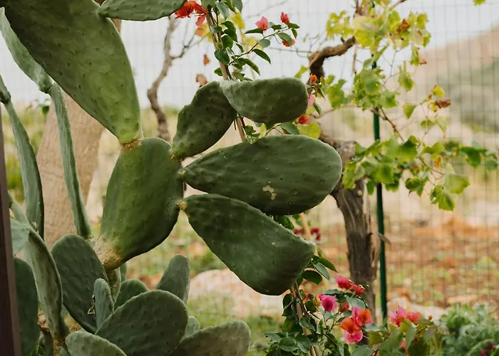 Quiete E Mare בית הארחה סן ויטו לו קאפו